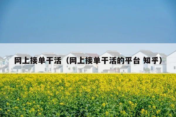 网上接单干活(网上接单干活的平台 知乎)