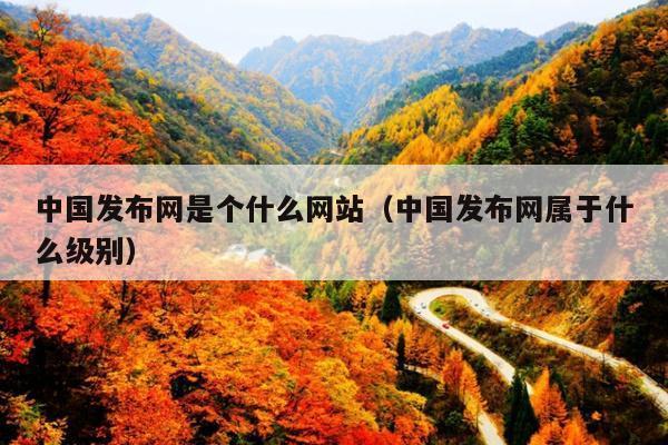 中国发布网是个什么网站(中国发布网属于什么级别)