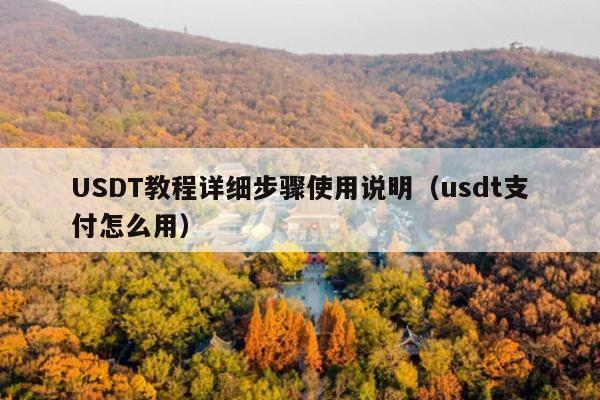 USDT教程详细步骤使用说明(usdt支付怎么用)