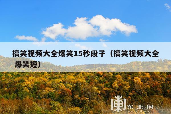 搞笑视频大全爆笑15秒段子(搞笑视频大全 爆笑短)