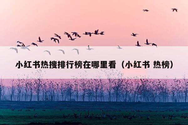 小红书热搜排行榜在哪里看(小红书 热榜)
