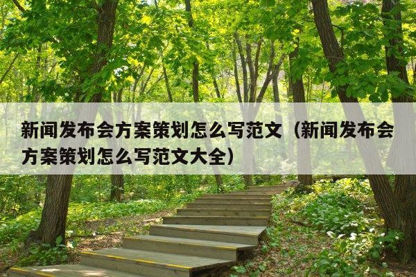 新闻发布会方案策划怎么写范文(新闻发布会方案策划怎么写范文大全)