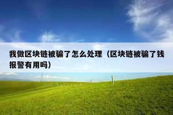 我做区块链被骗了怎么处理(区块链被骗了钱报警有用吗)