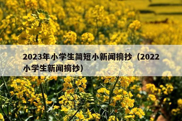 2023年小学生简短小新闻摘抄(2022小学生新闻摘抄)