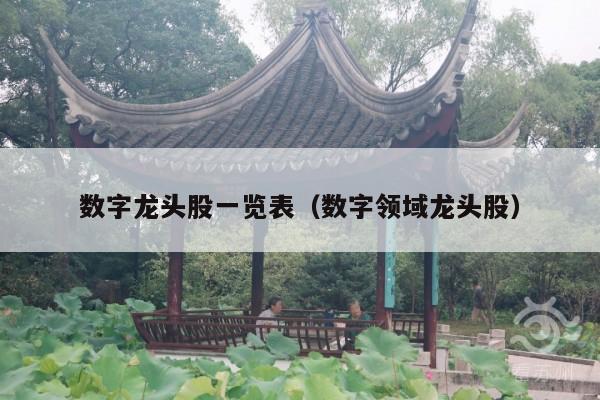 数字龙头股一览表(数字领域龙头股)