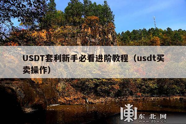 USDT套利新手必看进阶教程(usdt买卖操作)