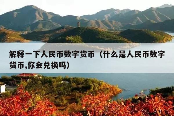 解释一下人民币数字货币(什么是人民币数字货币,你会兑换吗)