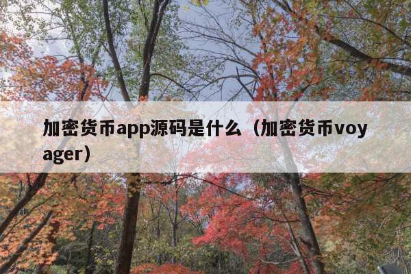 加密货币app源码是什么(加密货币voyager)