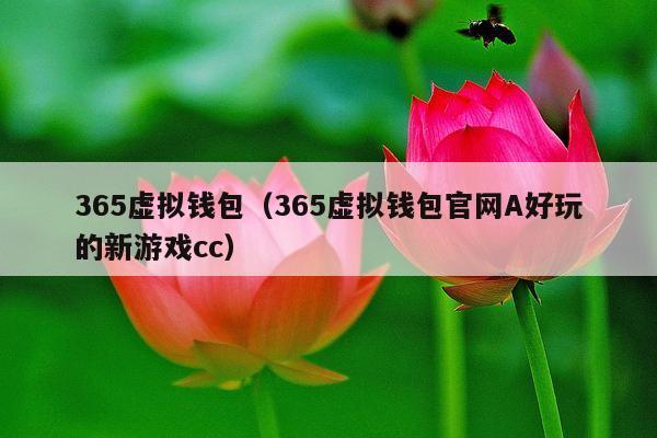 365虚拟钱包(365虚拟钱包官网A好玩的新游戏cc)