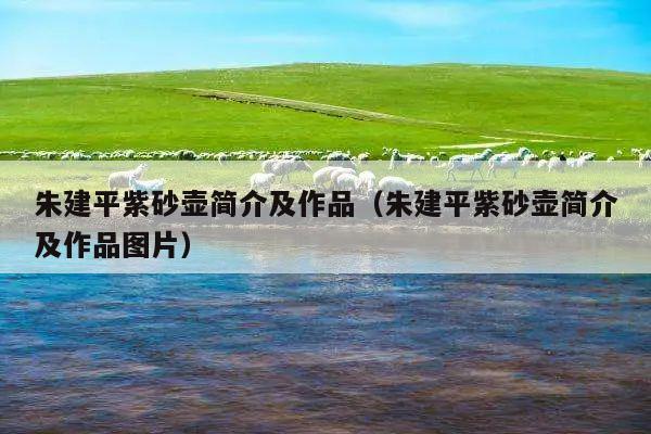 朱建平紫砂壶简介及作品(朱建平紫砂壶简介及作品图片)