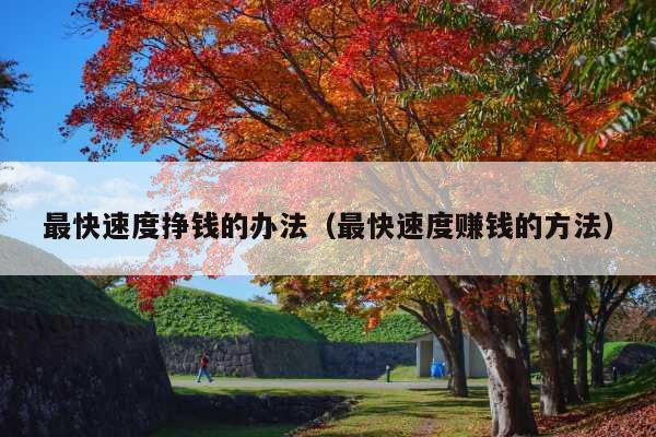 最快速度挣钱的办法(最快速度赚钱的方法)