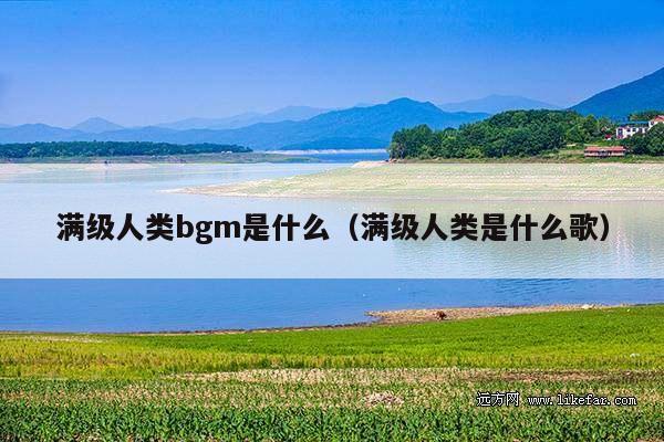满级人类bgm是什么(满级人类是什么歌)