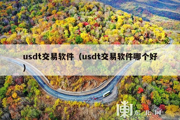 usdt交易软件(usdt交易软件哪个好)