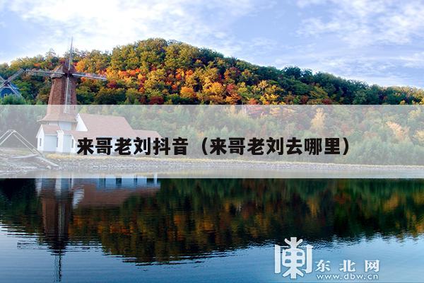 来哥老刘抖音(来哥老刘去哪里)