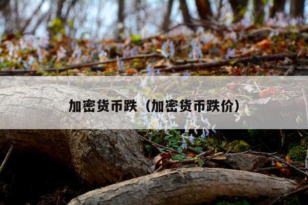 加密货币跌(加密货币跌价)