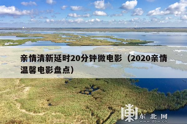 亲情清新延时20分钟微电影(2020亲情温馨电影盘点)