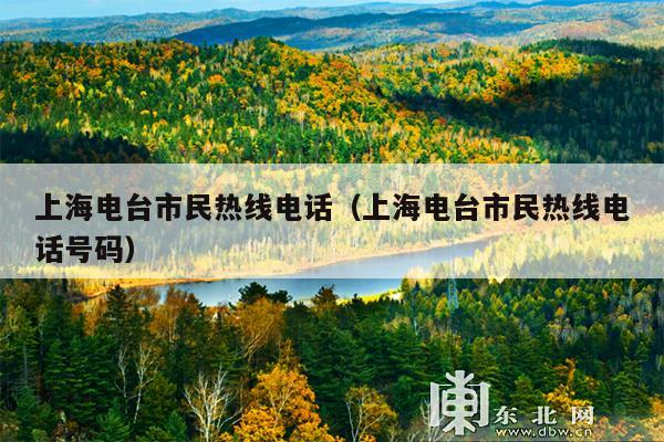 上海电台市民热线电话(上海电台市民热线电话号码)