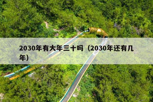 2030年有大年三十吗(2030年还有几年)