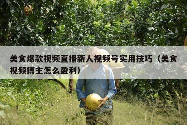 美食爆款视频直播新人视频号实用技巧(美食视频博主怎么盈利)