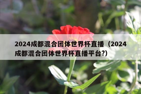 2024成都混合团体世界杯直播(2024成都混合团体世界杯直播平台?)