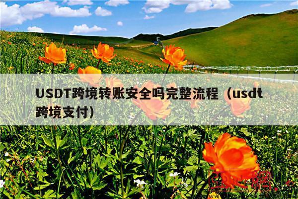 USDT跨境转账安全吗完整流程(usdt跨境支付)