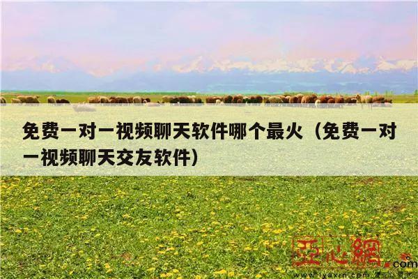 免费一对一视频聊天软件哪个最火(免费一对一视频聊天交友软件)