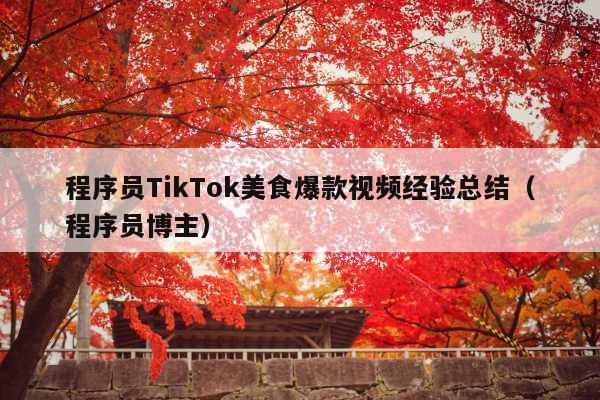 程序员TikTok美食爆款视频经验总结(程序员博主)