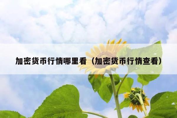 加密货币行情哪里看(加密货币行情查看)