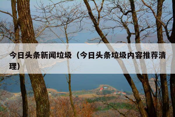 今日头条新闻垃圾(今日头条垃圾内容推荐清理)