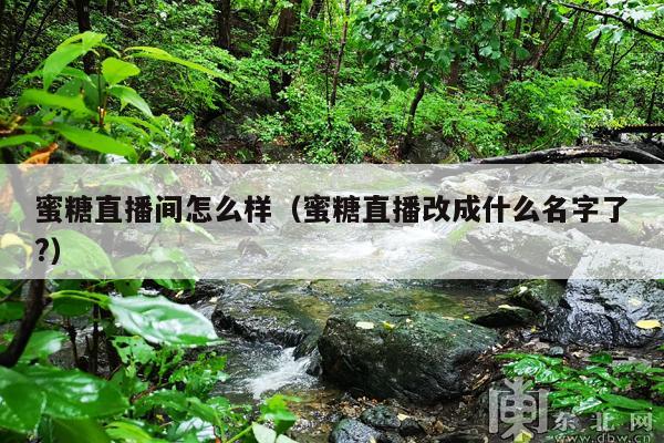 蜜糖直播间怎么样(蜜糖直播改成什么名字了?)