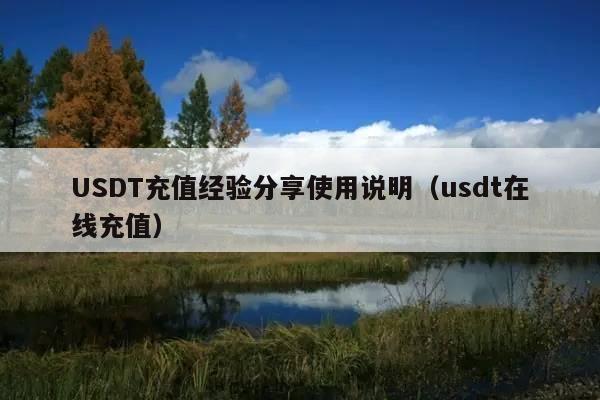 USDT充值经验分享使用说明(usdt在线充值)