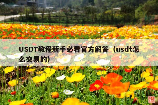 USDT教程新手必看官方解答(usdt怎么交易的)