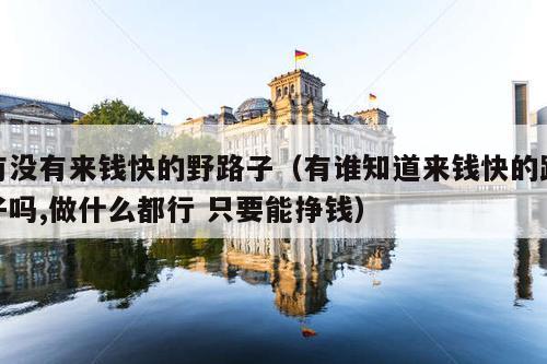 有没有来钱快的野路子(有谁知道来钱快的路子吗,做什么都行 只要能挣钱)