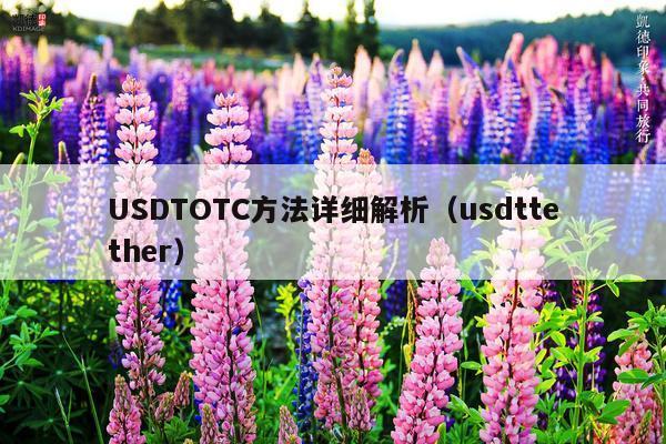 USDTOTC方法详细解析(usdttether)