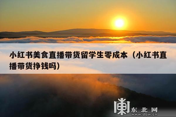 小红书美食直播带货留学生零成本(小红书直播带货挣钱吗)