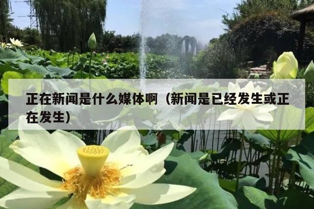 正在新闻是什么媒体啊(新闻是已经发生或正在发生)