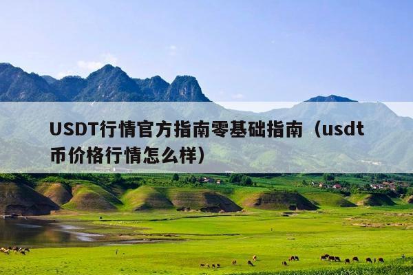 USDT行情官方指南零基础指南(usdt币价格行情怎么样)