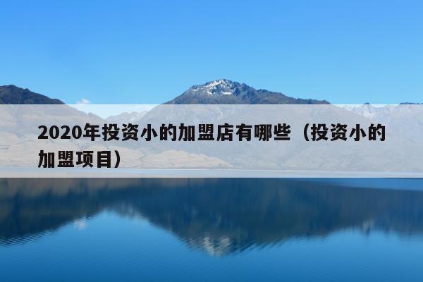 2020年投资小的加盟店有哪些(投资小的加盟项目)