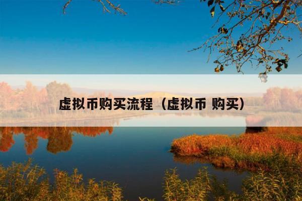 虚拟币购买流程(虚拟币 购买)