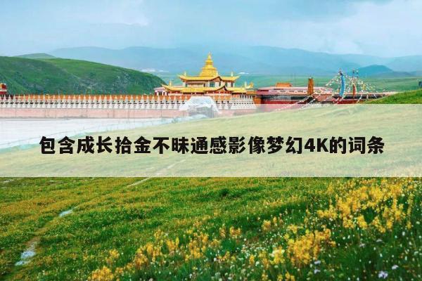 包含成长拾金不昧通感影像梦幻4K的词条
