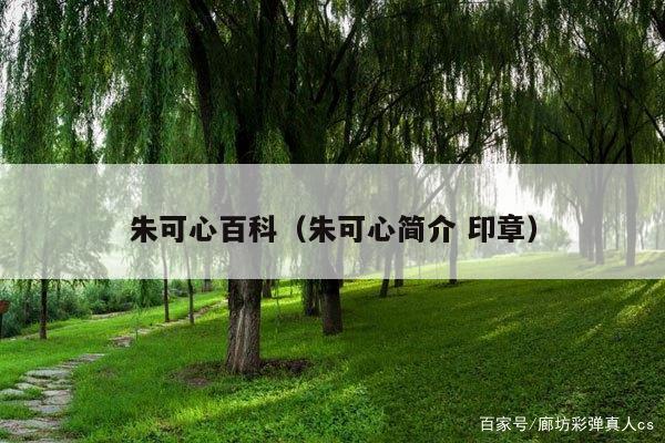 朱可心百科(朱可心简介 印章)