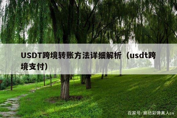 USDT跨境转账方法详细解析(usdt跨境支付)