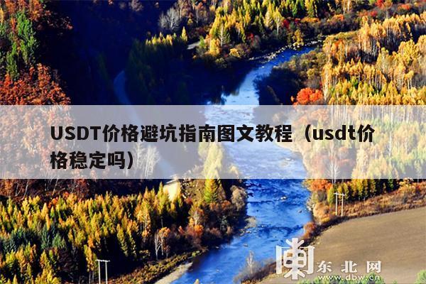 USDT价格避坑指南图文教程(usdt价格稳定吗)
