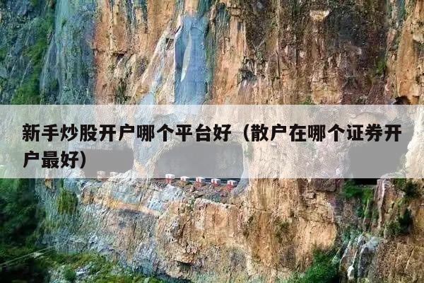 新手炒股开户哪个平台好(散户在哪个证券开户最好)