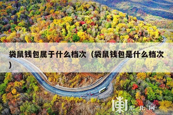 袋鼠钱包属于什么档次(袋鼠钱包是什么档次)