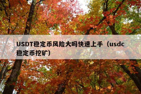 USDT稳定币风险大吗快速上手(usdc稳定币挖矿)
