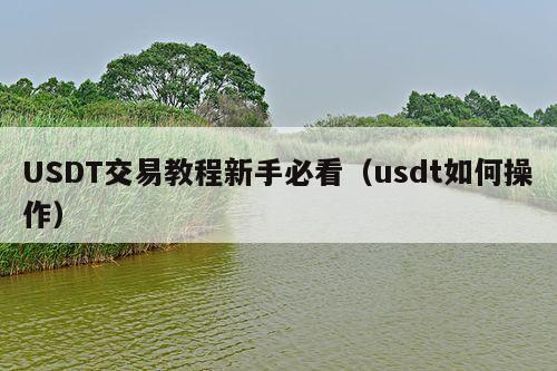 USDT交易教程新手必看(usdt如何操作)