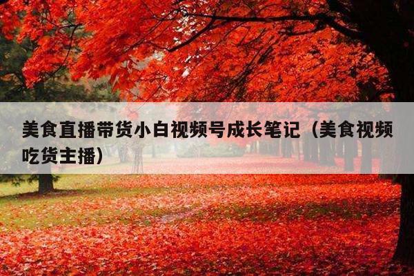 美食直播带货小白视频号成长笔记(美食视频吃货主播)