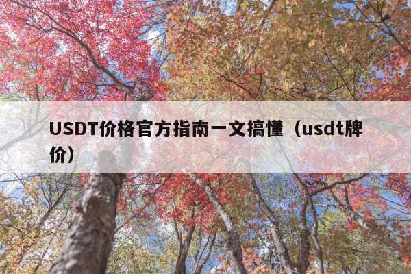 USDT价格官方指南一文搞懂(usdt牌价)