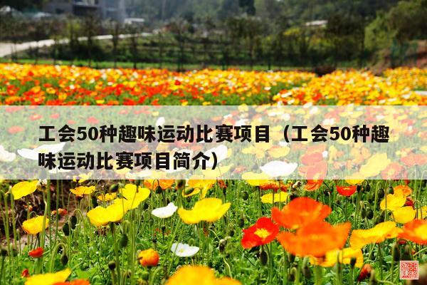 工会50种趣味运动比赛项目(工会50种趣味运动比赛项目简介)